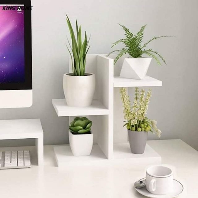 Kệ gỗ 2 tầng để bàn, kệ đựng chậu cây cảnh mini