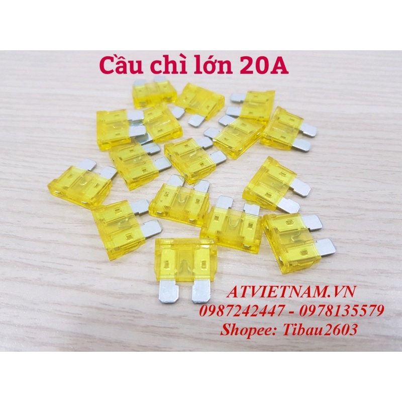 Cầu chì lớn 20a