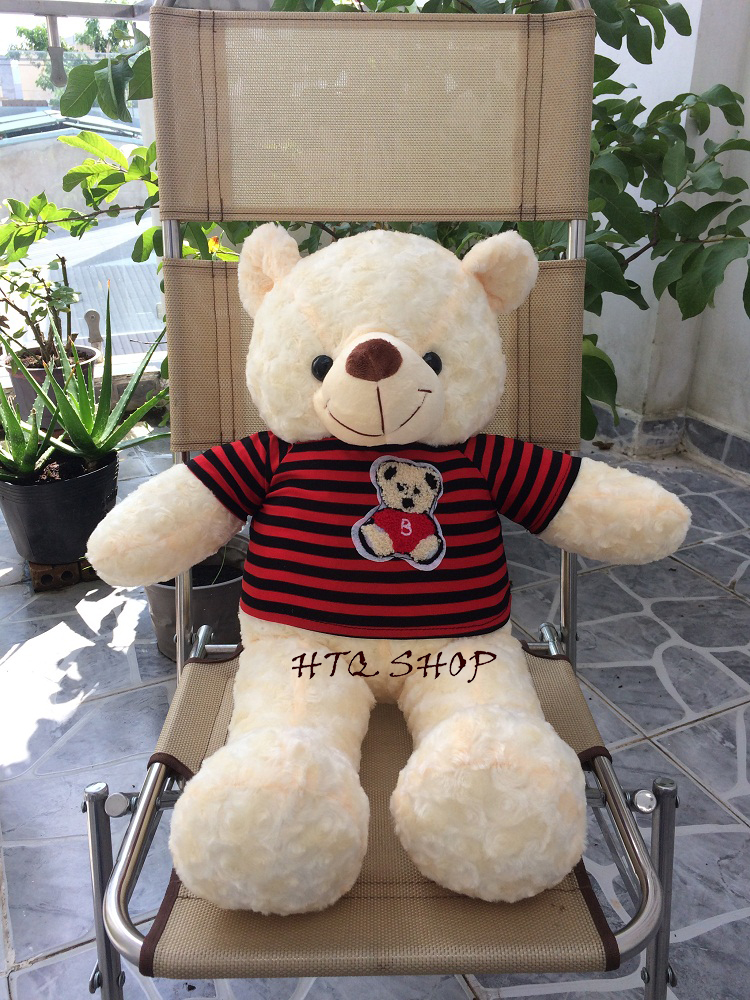 Gấu Bông Teddy Cao Cấp size 50cm
