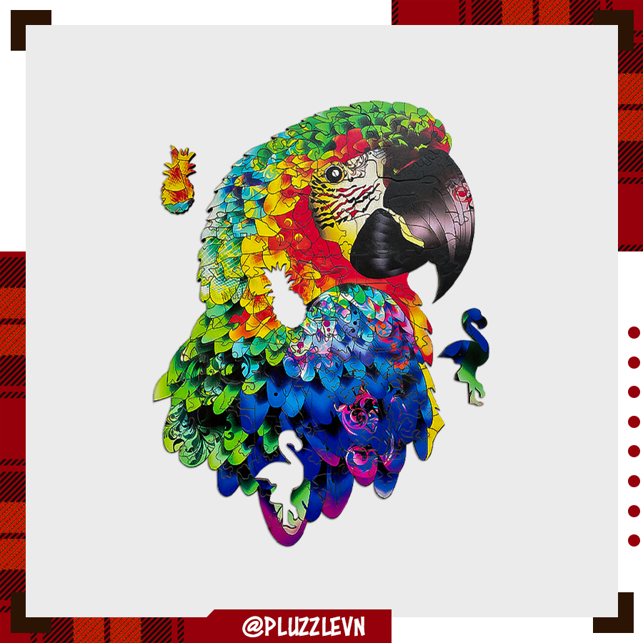 Puzzle Bộ Xếp Hình Gỗ bởi PLUZZLE - Hình con Vẹt nhiều màu sắc - PZ012