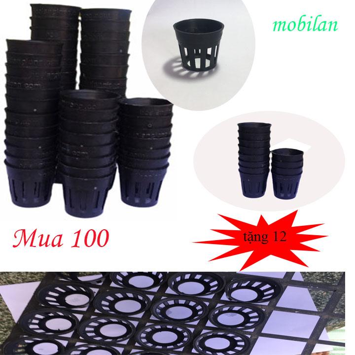 Chậu trồng lan cấy mô combo 100 chậu tặng miễn phí 12 chậu