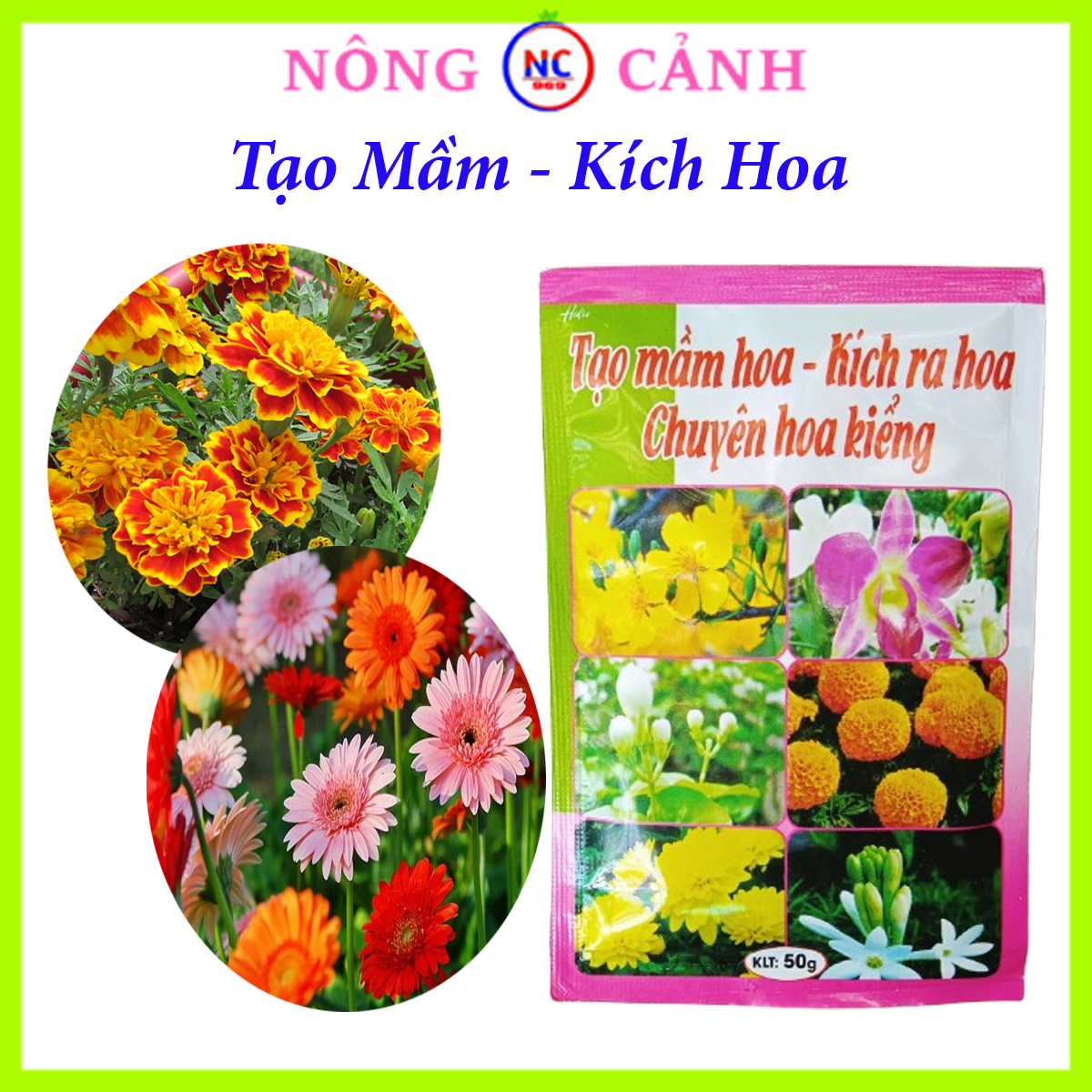 Phân bón kích hoa, tạo mầm hoa lâu tàn chuyên hoa kiểng