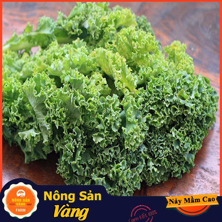 [HCM]Hạt giống Cải Xoăn Kale ( Gói 5 Gram ) - Nông Sản Vàng