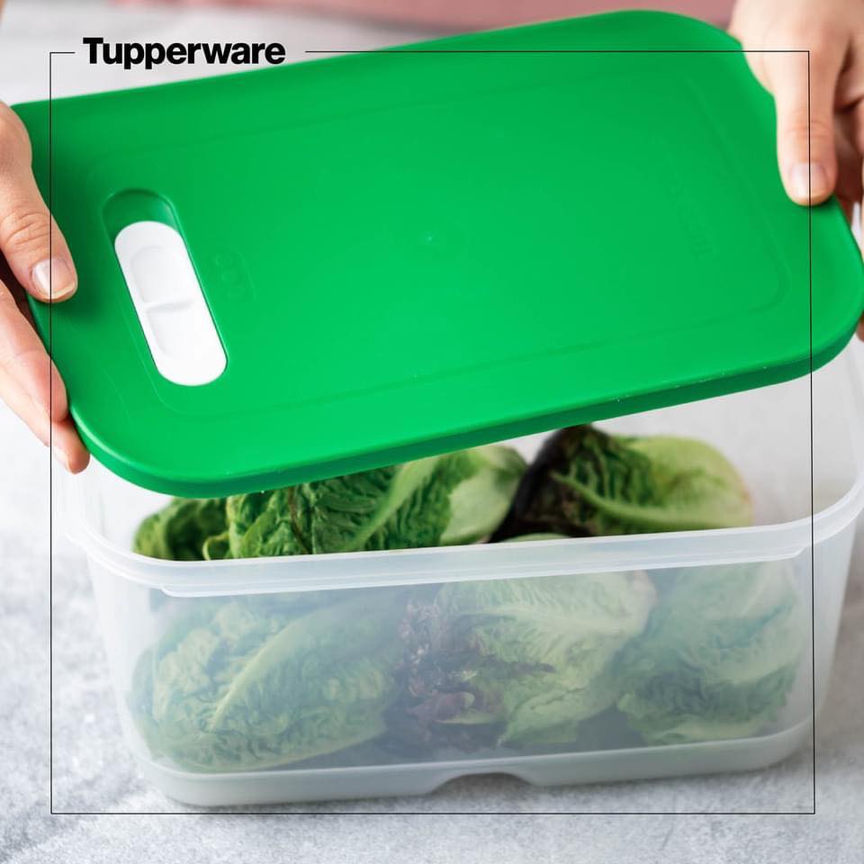 Hộp trữ mát Vensmart 4.4L Tupperware