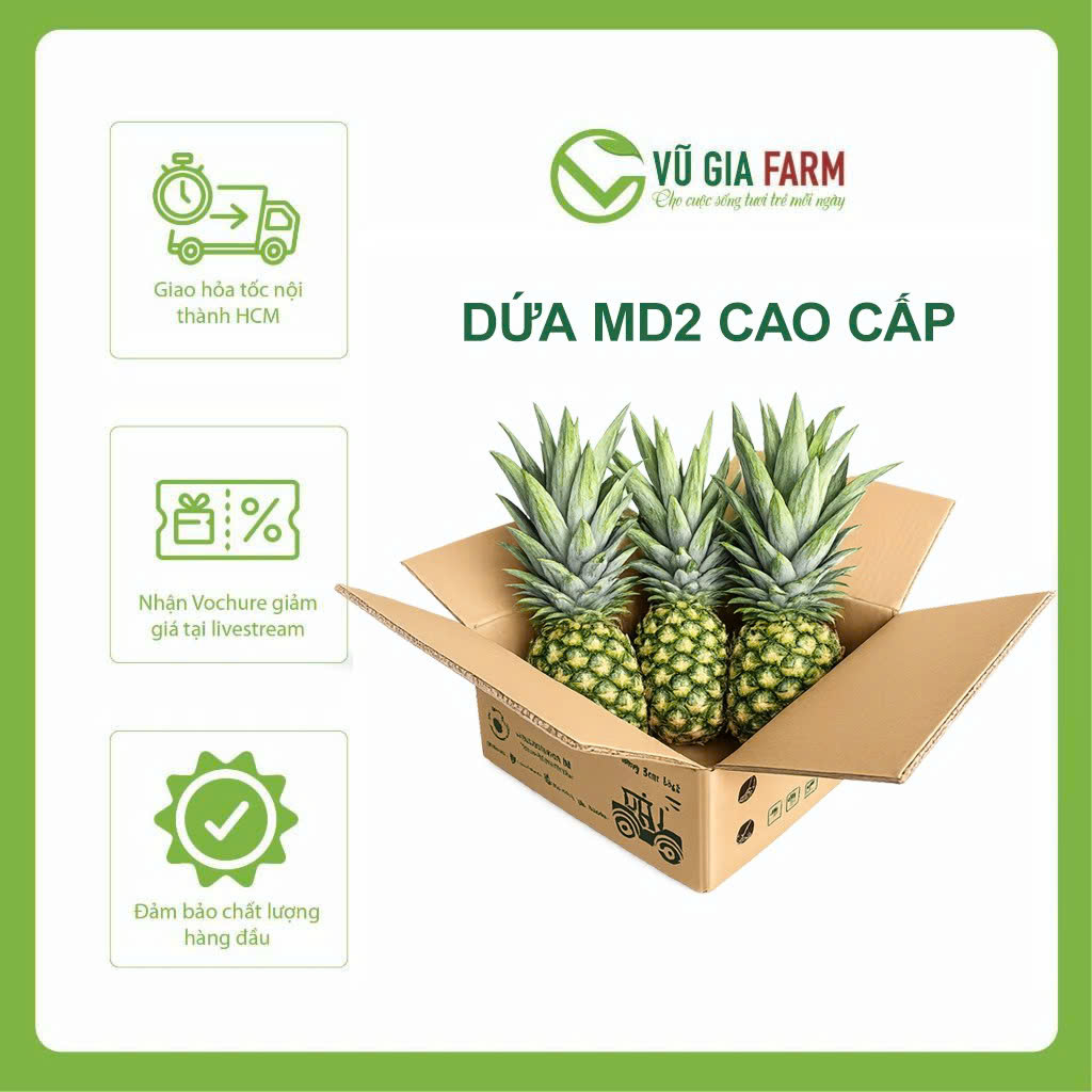 [HCM] THÙNG 2-3 TRÁI Dứa MD2 Cao Cấp Đắk Lắk - Dứa Xuất Khẩu Ngọt Giòn Thơm Tươi Nguyên Trái