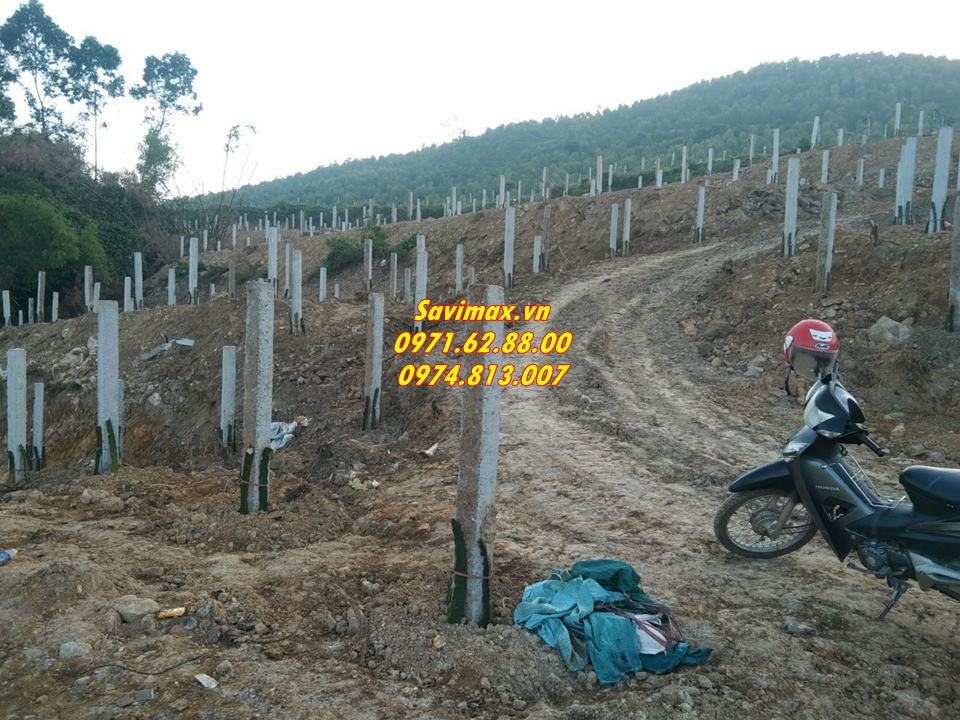 Tổng đại lý máy khoan đất tặng kèm mũi khoan