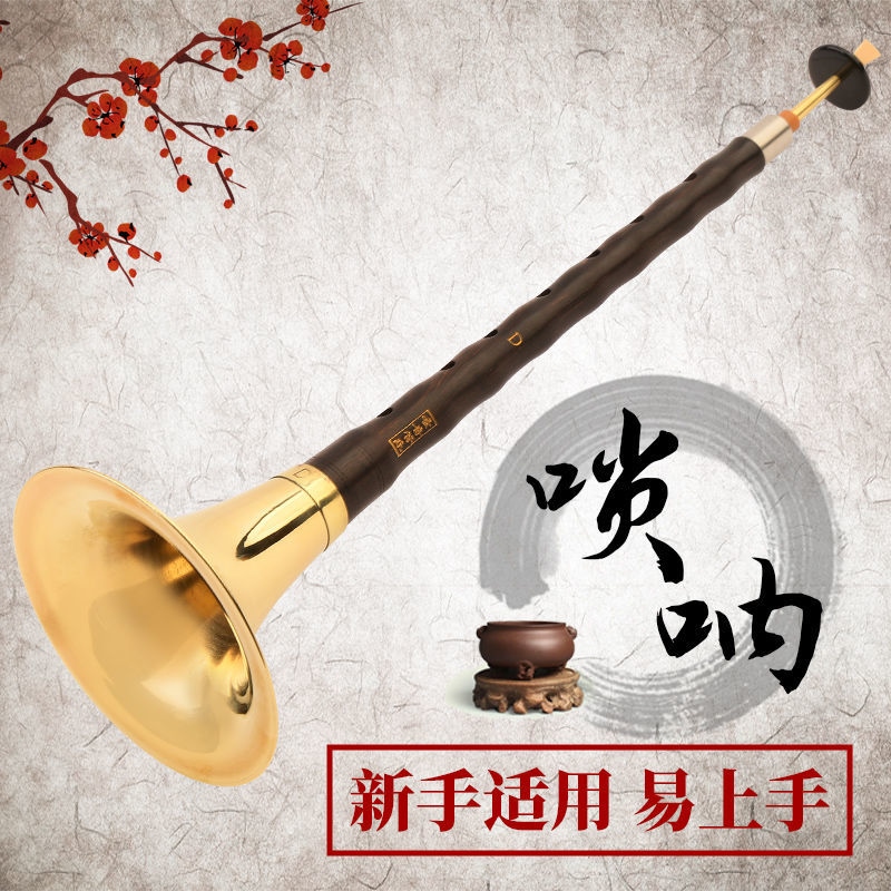 Annatto ebony ebony suona instrument complete beginners introduction to adult D national medium play the horn
