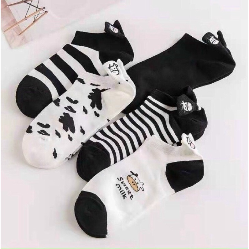 Combo 5 đôi vớ thêu hình bò sữa