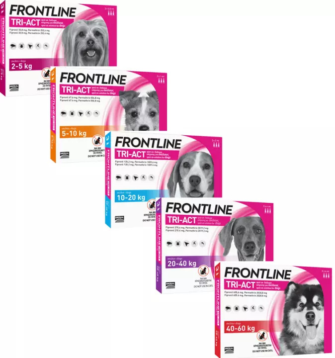 Frontline tri-act: trị ve, rận, ruồi, muỗi cho chó