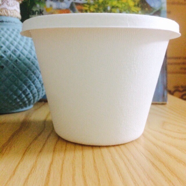 Hộp tròn có nắp bã mía gracz mã L021 dung tích 500ml (50 cái/gói )