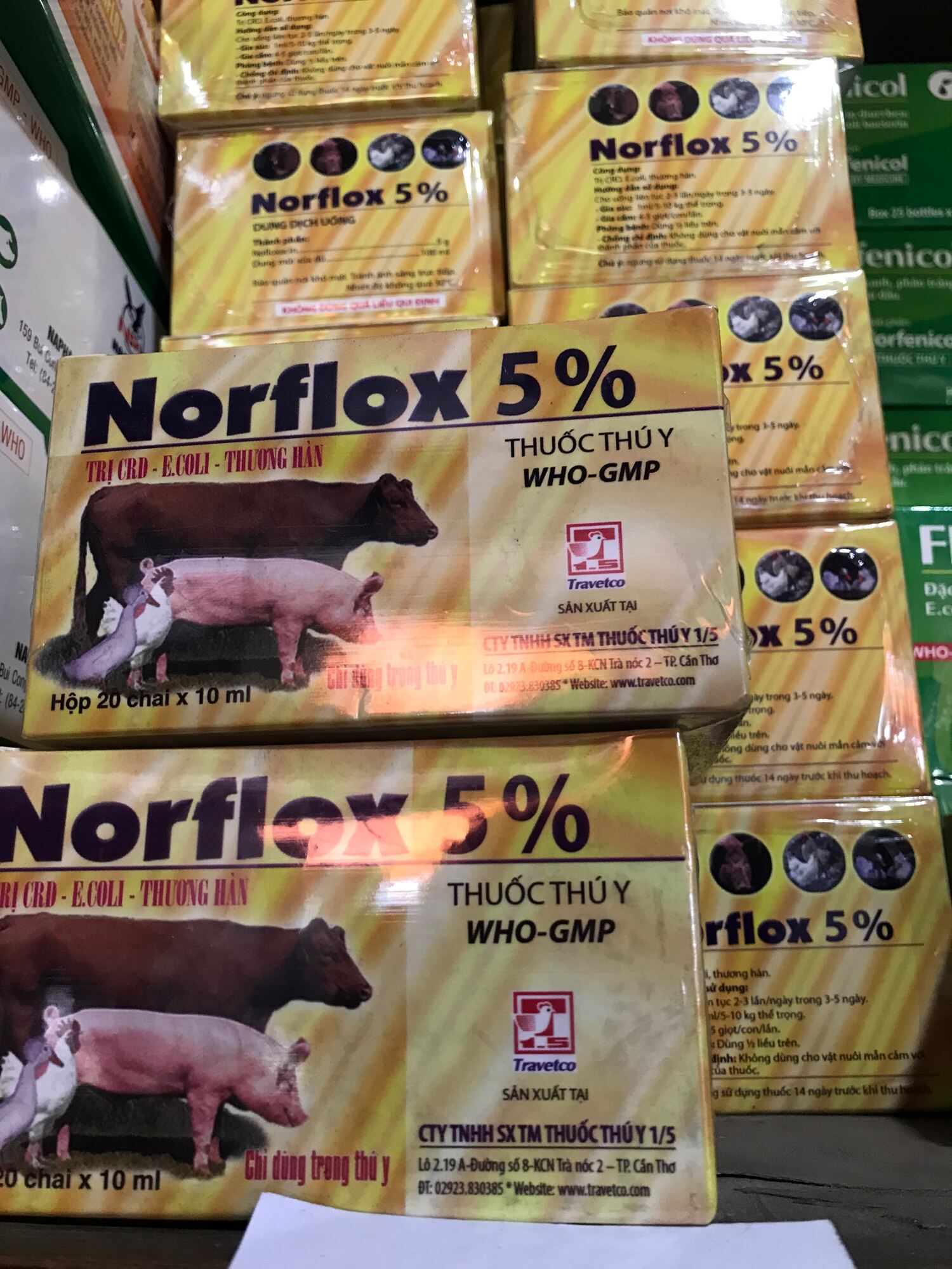Norflox 1/5 Đặc hiệu khò khè, sưng mặt, ecoli, tiêu chảy, phân trắng