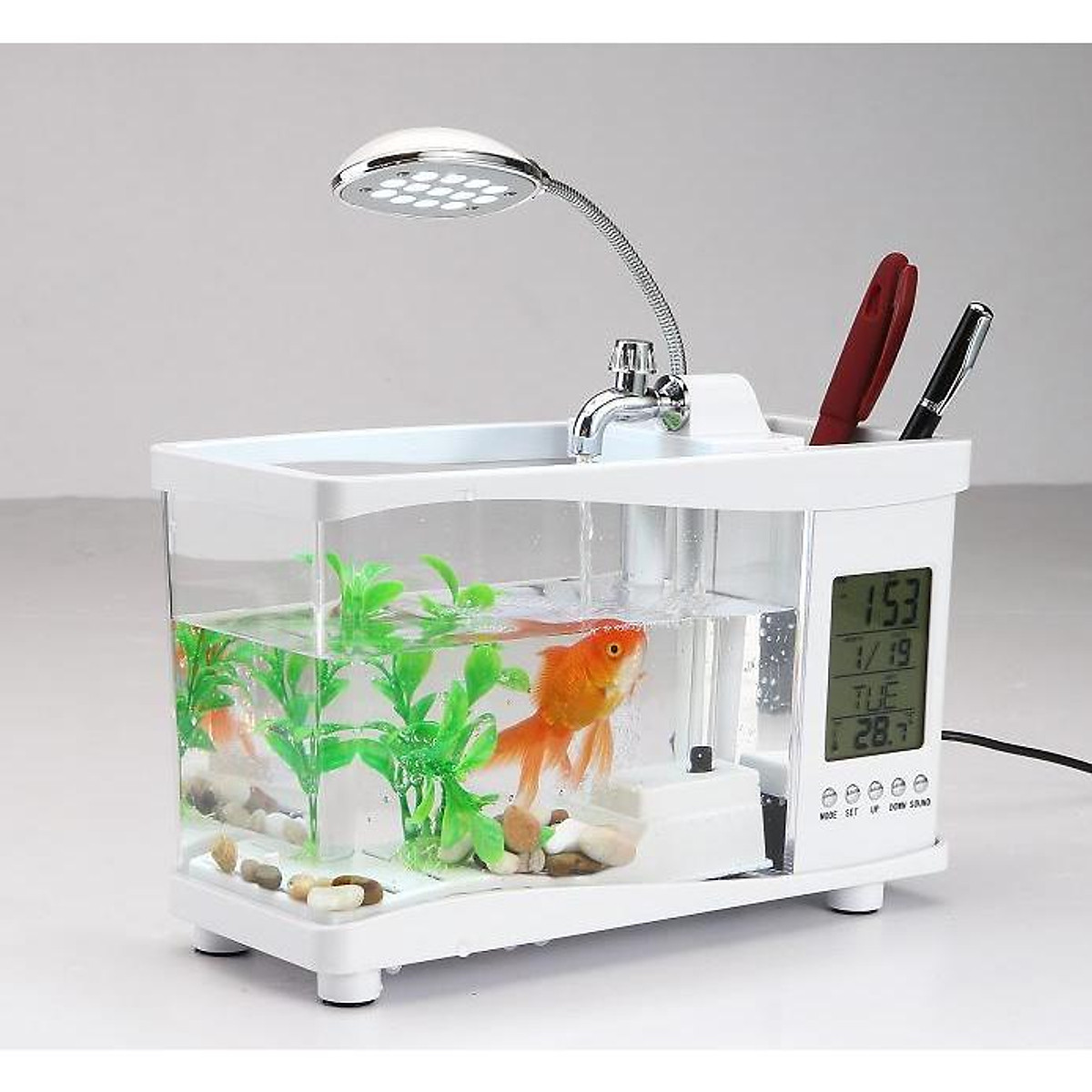 Bể Cá Mini [Đồng Hồ + Đèn Bàn + Sỏi, Cây Thủy Sinh] Bể cá để bàn - Hồ cá