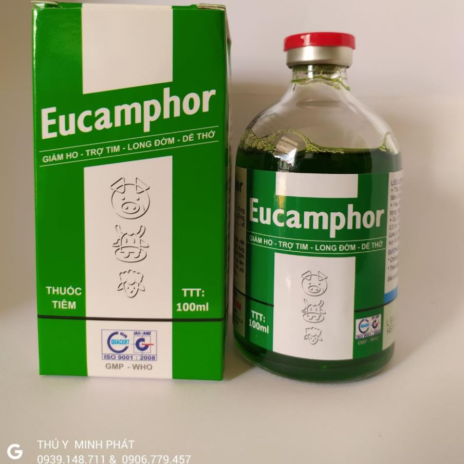 Eucamphor Giảm Ho, Trợ Tim, Long Đờm Dễ Thở Chai 100 ml