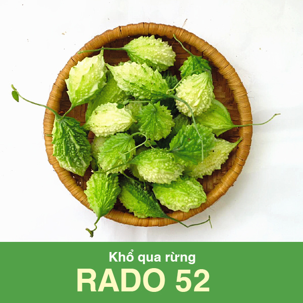 Hạt giống khổ qua rừng - giống khổ qua rừng
