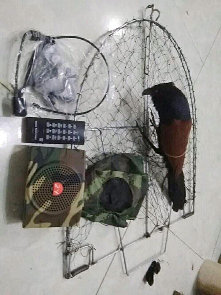 Trọn bộ bẫy bìm bịp ( 1 loa thẻ kèm file tiếng bịp + 1 mẹt bán Nguyệt + 1 con bịp giả nhồi keo) đánh bẫy hiệu quả