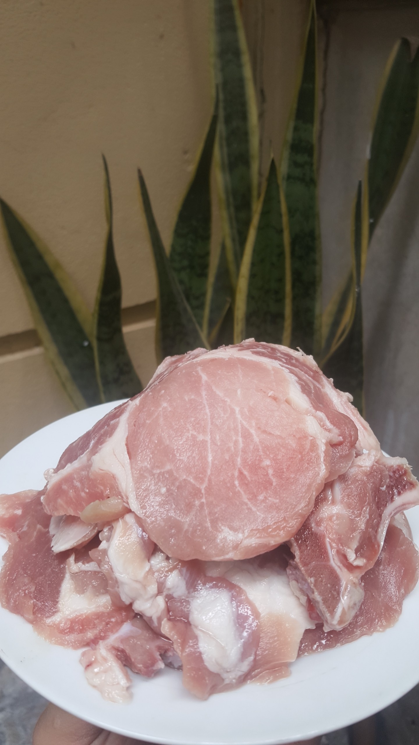 Vụn lợn ngon cho chó mèo siêu ngon rẻ 1kg/túi