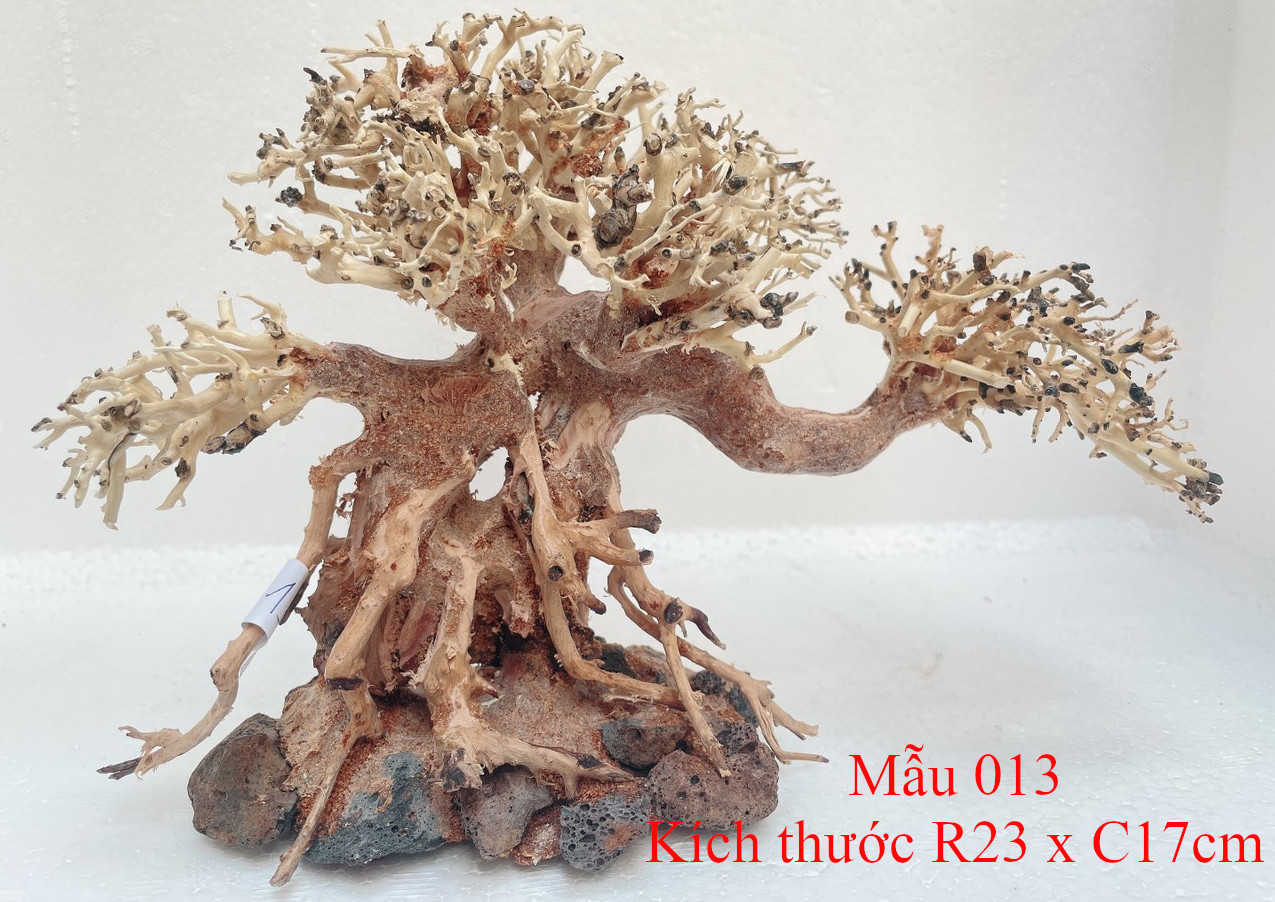 Lũa bonsai trang trí hồ thủy sinh cá cảnh kích thước 17x23cm - bonsai013