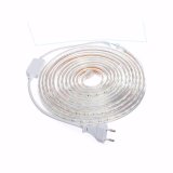 10m dây đèn LED dây 5050 ống nhựa ánh sáng Trắng (có đầu) (Trắng)