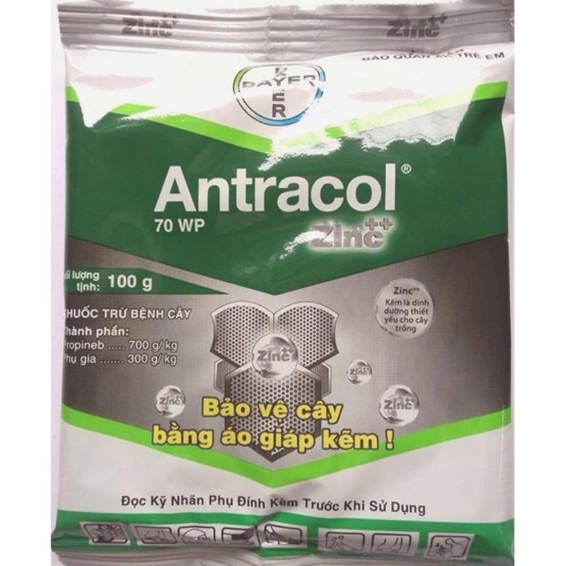 Antracol 70WP 100 gr- Thuốc trị nấm bệnh cho Phong Lan