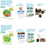 [HCM]Bộ 10 Thùng Trồng Thủy Canh Rau Ăn Lá Và Ăn Trái