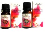 Bộ 2 lọ tinh dầu xoa bóp chống tê mỏi long não và tinh dầu hồi LAMHA 10ml x 2