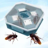 Bộ 2 máy bắt gián triệt để 02