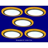 Bộ 5 đèn led nổi ốp trần 24w tròn 2 màu 3 chế độ ánh sáng trắng vàng