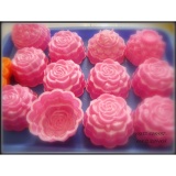 Bộ 5 khuôn nhựa rau cau trung thu