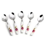 Bộ 5 muỗng cafe inox cán sứ