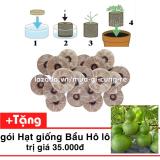 Bộ 50 viên nén ươm hạt  (Viên nén xơ dừa) + Tặng hạt giống Bầu hồ lô MV