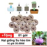 Bộ 50 viên nén ươm hạt + Tặng hạt giống Su hào tím MV