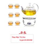 Bộ ấm chén pha trà thủy tinh Zeno SET01 + Tặng trà hoa