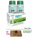 [HCM]Bộ dinh dưỡng đầy đủ nhất trồng thủy canh RAU ĂN LÁ TẶNG THÊM 20 VIÊN NÉN SƠ DỪA