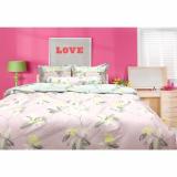Bộ ga gối 100% cotton hàn quốc julia 231h 160x200
