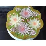 Bộ kim lam rau cau 3d - 10 kim