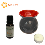 Bộ tinh dầu bạc hà nguyên chất 20ml thơm phòng và lò xông tinh dầu gốm tim