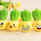 Chậu lúa mini để bàn - có sẵn thóc (Mẫu ngẫu nhiên)