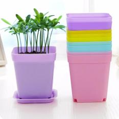Chậu nhựa trồng cây vuông 8x7cm rainstore - tím