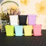 [HCM]Chậu Nhựa Trồng Cây Vuông 8x7cm RainStore - Trắng
