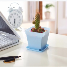Chậu Nhựa Trồng Cây Vuông 8x7cm RainStore - Xanh Dương