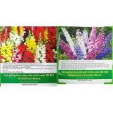 [HCM]Combo 2 gói hạt giống : Hoa Phi Yến nhiều màu Hoa Mõm Sói nhiều màu