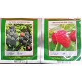 [HCM]Combo 2 Gói Hạt Giống Mâm Xôi  Đỏ +Đen - KLT 30hat/gói .