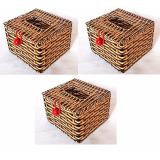 Combo 3 Hộp đựng giấy ăn giả mây vuông (12x12x8)