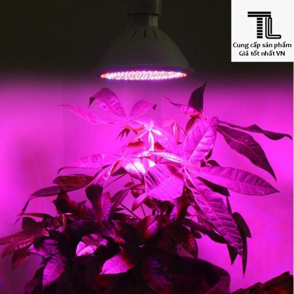 Đèn led trồng cây, giúp cây phát triển trong nhà 6W 220V
