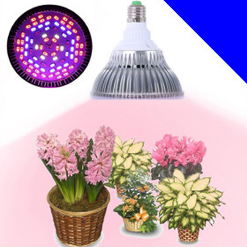 Bảng giá Mua Đèn mặt trời trồng cây trong nhà RINOS RNDSE2715W - công suất 15W