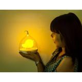 Đèn ngủ hình lòng chim Birdcage