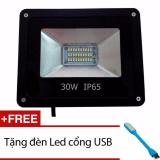 Đèn pha led 30w - ip65 + tặng đèn led usb siêu sáng