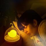 Đèn trang trí hình lòng chim Birdcage