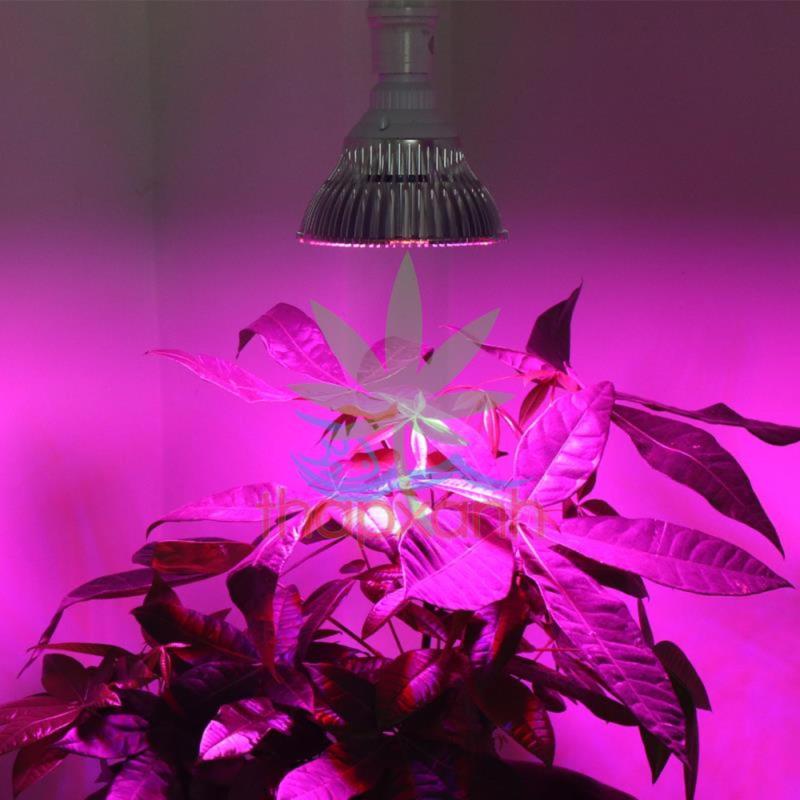 Bảng giá Mua Đèn trồng cây (Led trồng cây) 50W