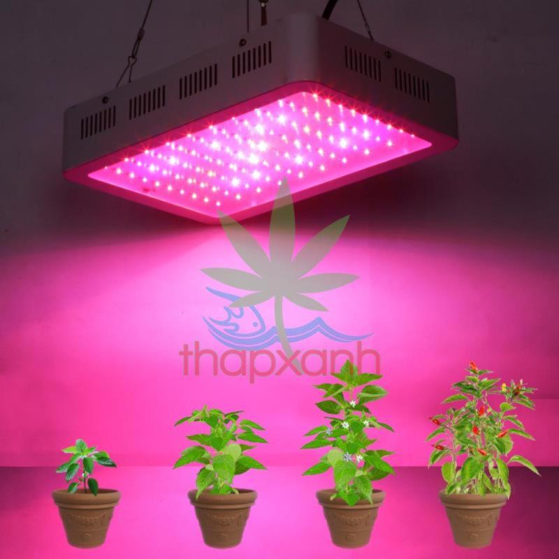 Bảng giá Mua Đèn trồng cây, Led trồng cây REC 300W (GL-300)